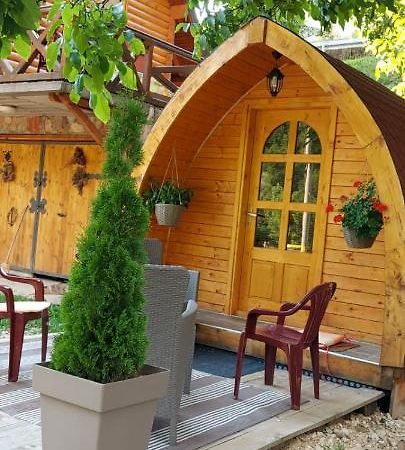 Vila Jelena - Bungalov Crni Vrh المظهر الخارجي الصورة
