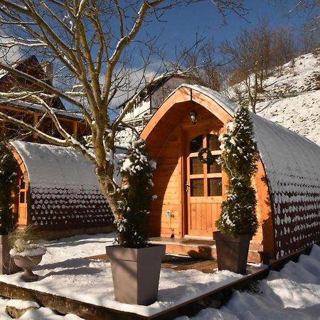Vila Jelena - Bungalov Crni Vrh الغرفة الصورة