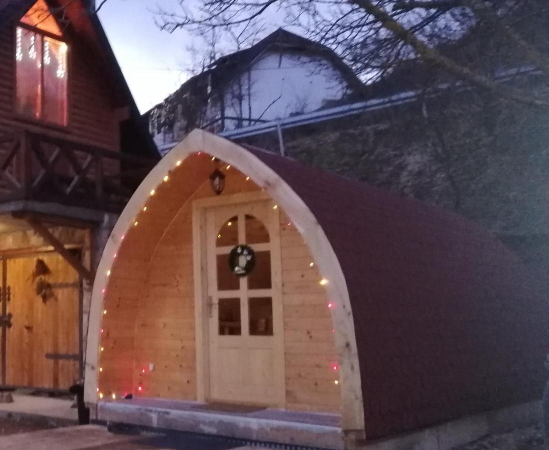 Vila Jelena - Bungalov Crni Vrh المظهر الخارجي الصورة