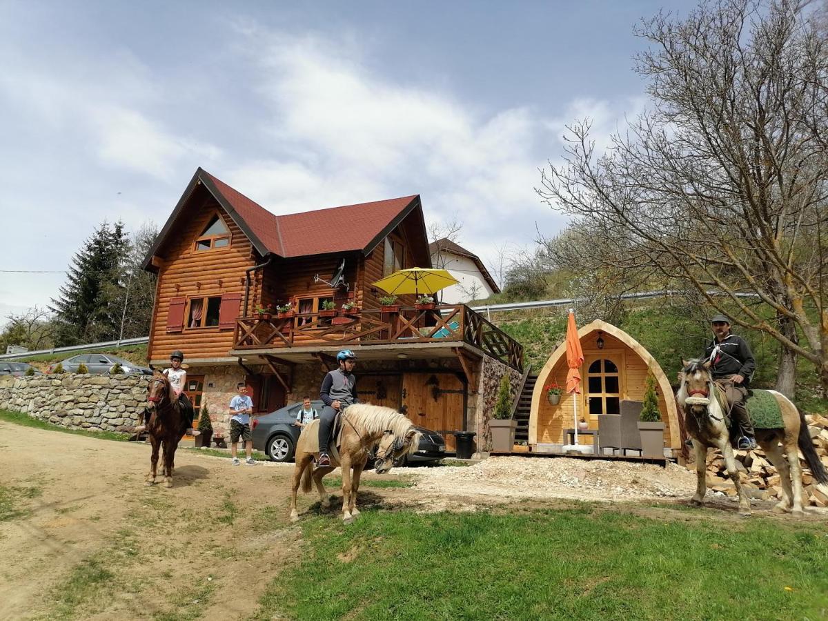 Vila Jelena - Bungalov Crni Vrh المظهر الخارجي الصورة