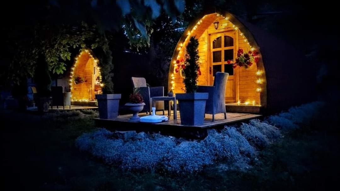Vila Jelena - Bungalov Crni Vrh المظهر الخارجي الصورة